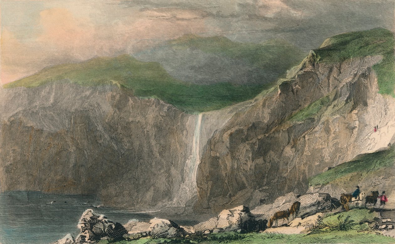 Wasserfall & Steinbruch, in der Nähe von Boscastle von William Alexander Le Petit