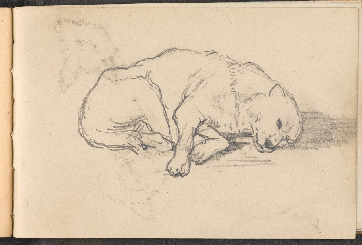 Skizze eines schlafenden Hundes, ca. 1879 von William Barnes Wollen
