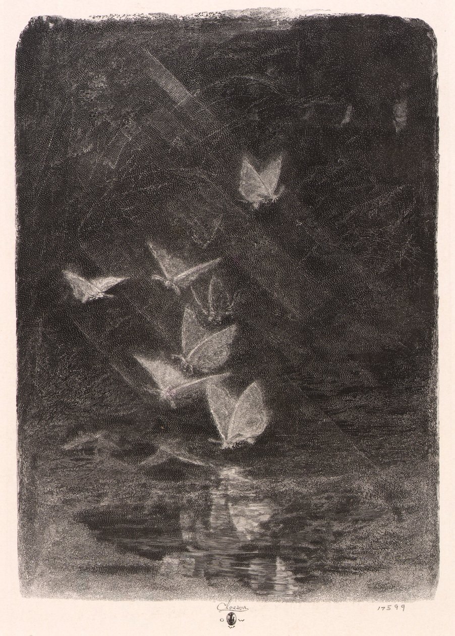 Nachtfalter von William Baxter Closson