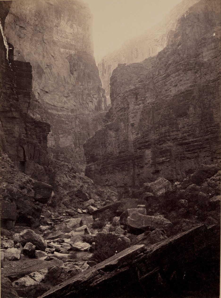 Cañon von Kanab Wash, Colorado River, Blick nach Norden von William Bell