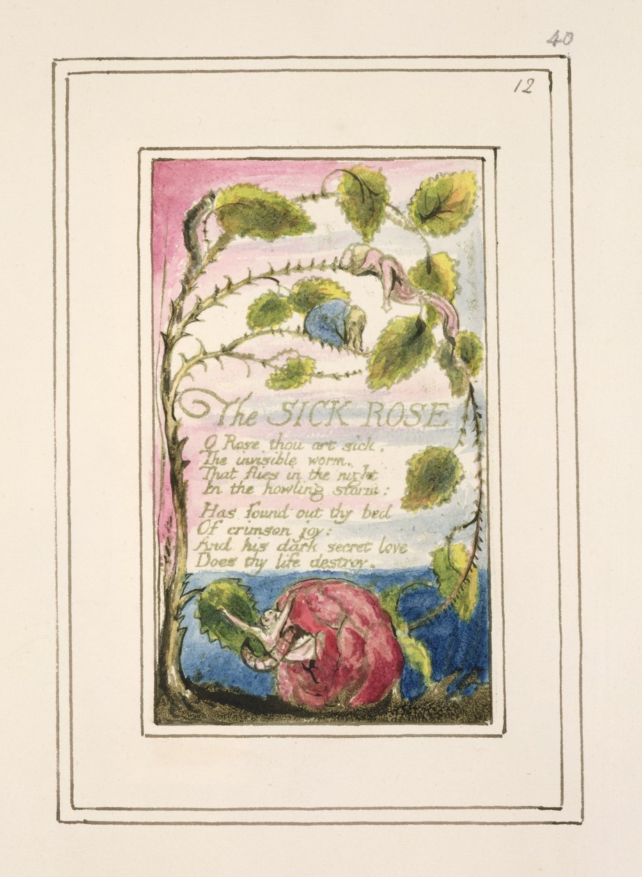 Die kranke Rose: Tafel 40 aus 