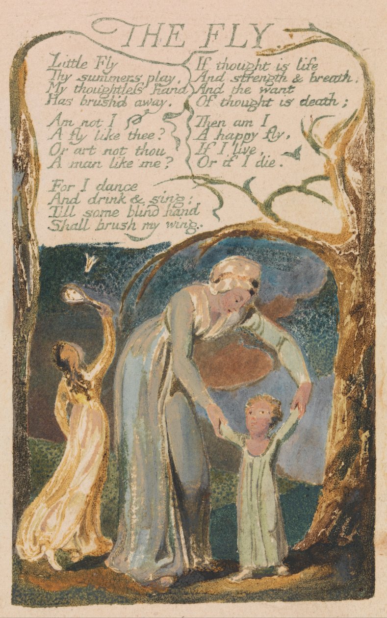 Lieder der Unschuld und der Erfahrung, Tafel 48, Die Fliege (Bentley 40) von William Blake