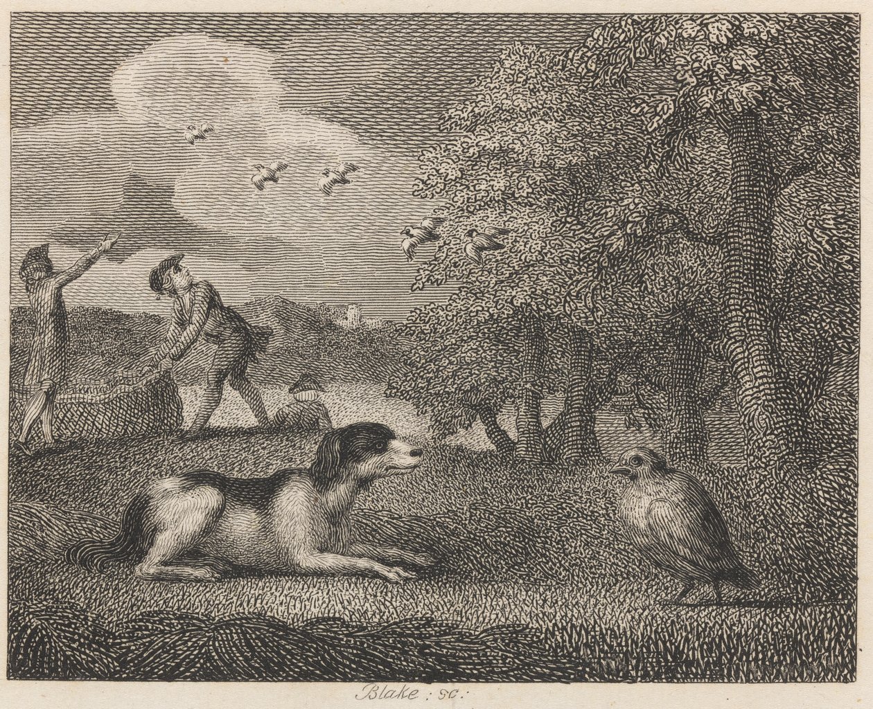Der Vorstehhund und das Rebhuhn von William Blake
