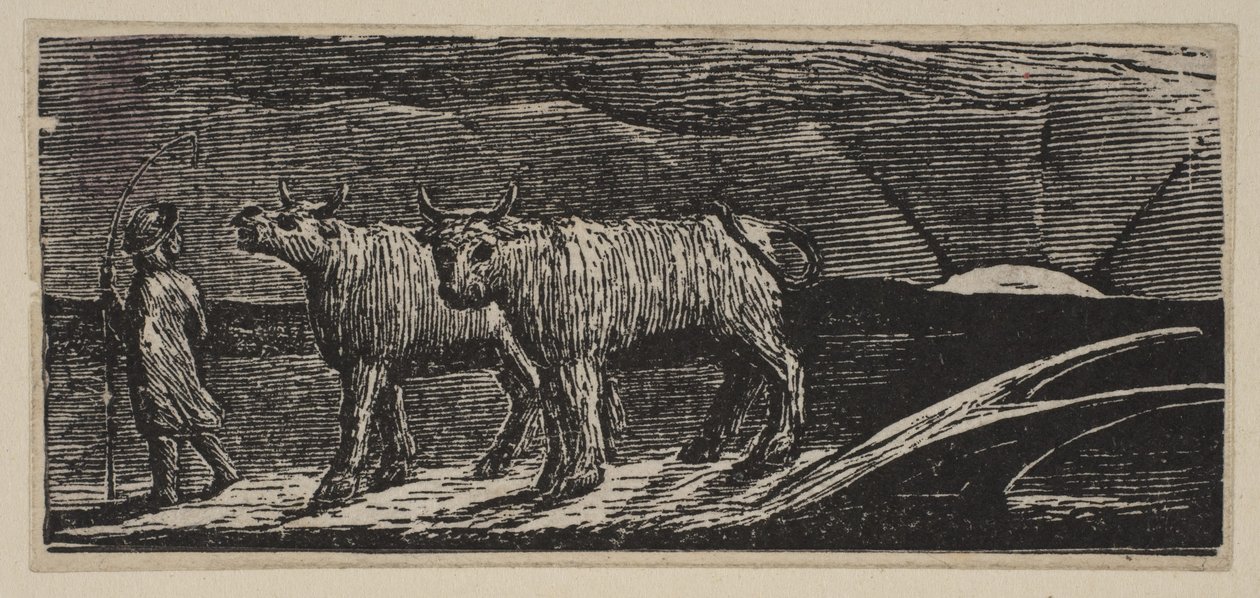 Unyokd Heifers, Loitering Homeward (aus Thorntons Pastorals of Virgil, 1821) von William Blake