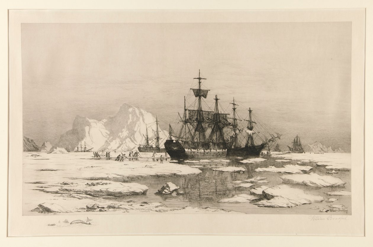 Robbenfänger in der Arktis, nach dem Gemälde: Unter den Eisfeldern, 1875 von William Bradford