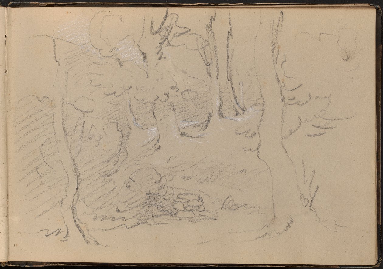 Skizze einer Baumgruppe von William Brockedon