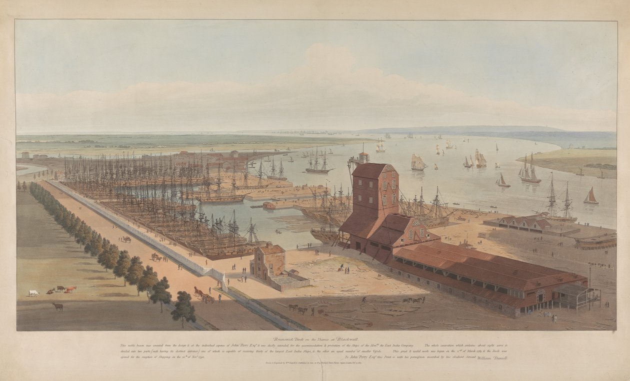 Brunswick Dock an der Themse in Blackwall von William Daniell