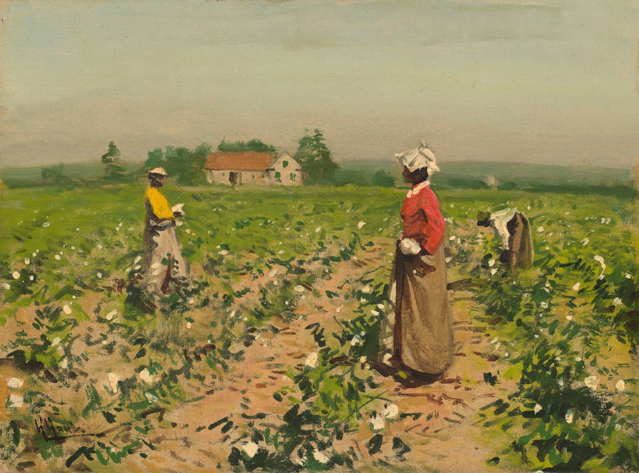 Baumwollpflücken, ca. 1890 von William Gilbert Gaul