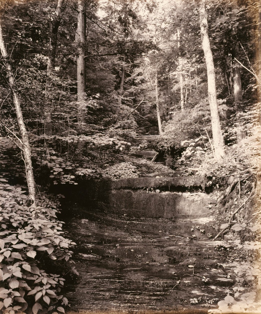 Owasco-See, Cascade Glen, für die Lehigh Valley Railroad von William H. Rau