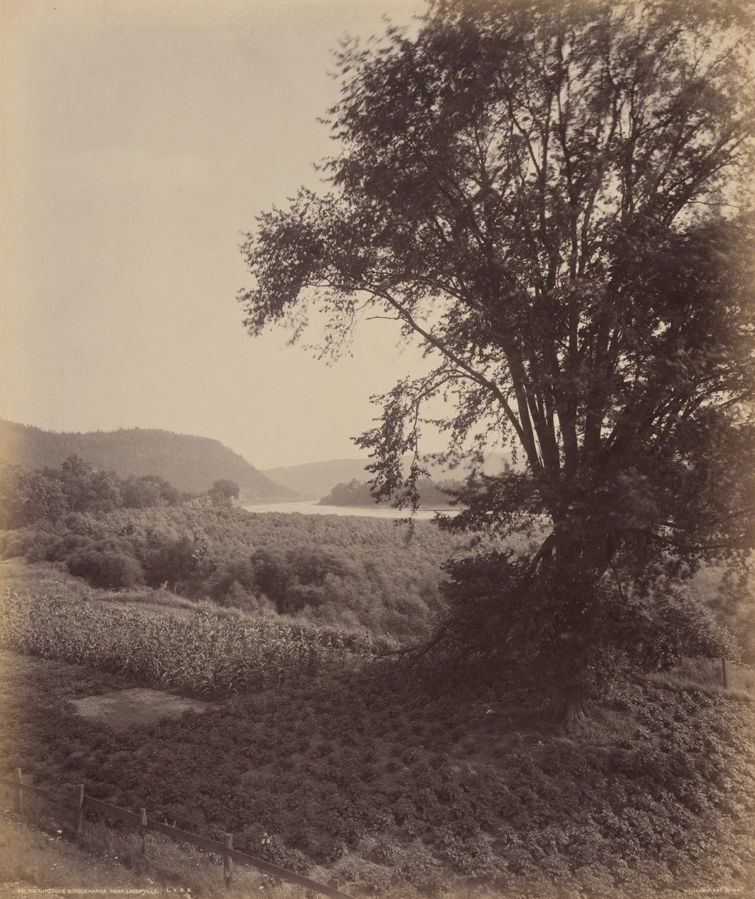 Malerisches Susquehanna, bei Laceyville von William H. Rau