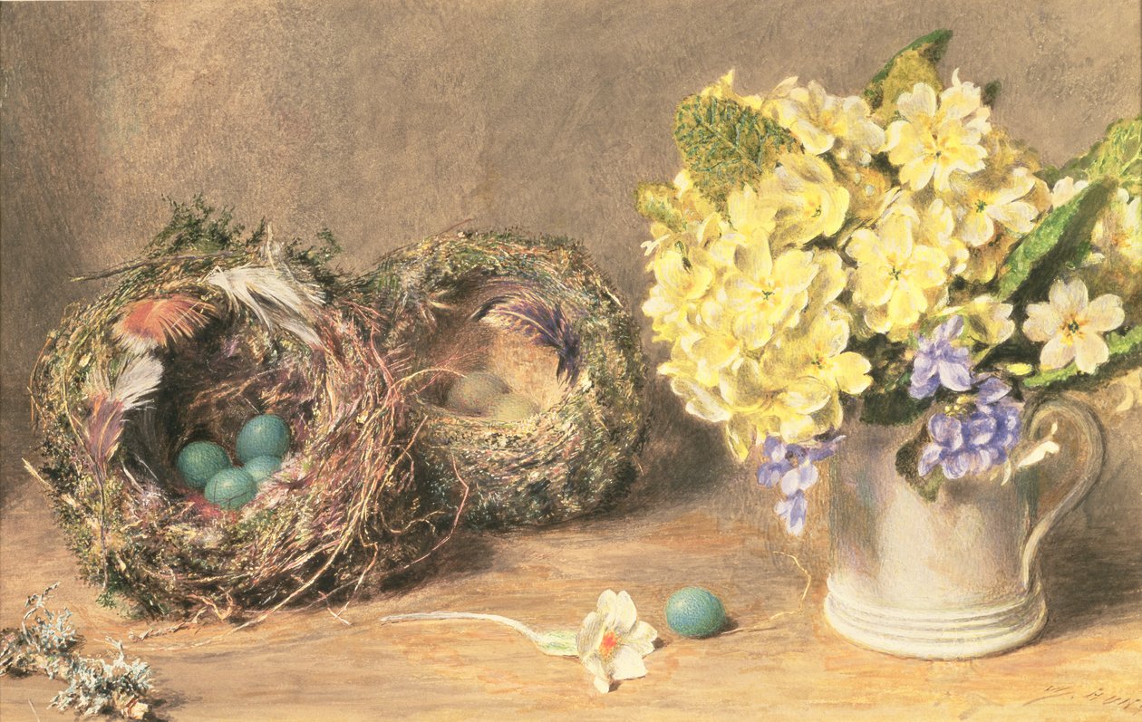 Frühlingsblumen und Vogelnester, ca. 1830 von William Henry Hunt