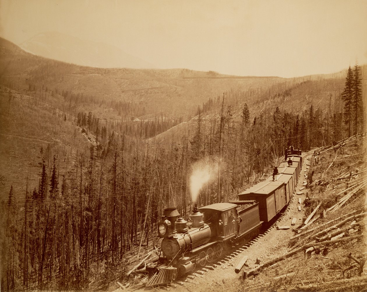 Marshall Pass, Westseite von William Henry Jackson