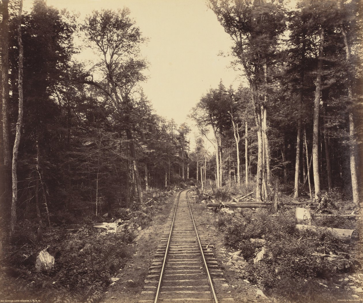 Ganoga-See-Zweig, ca. 1895 von William Herman Rau