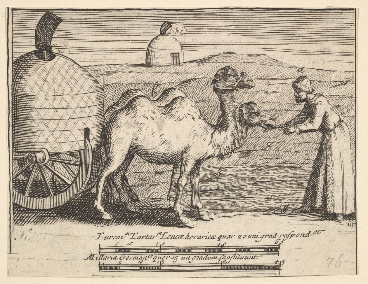 Zwei Dromedare Aubry de La Mottrayes Reisen durch Europa, Asien und in Teile ..., 1723-24 von William Hogarth