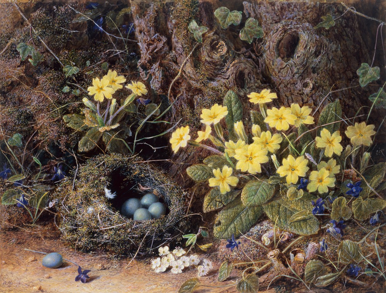 Stillleben mit Vogelnest, Primeln und Veilchen von William Hough