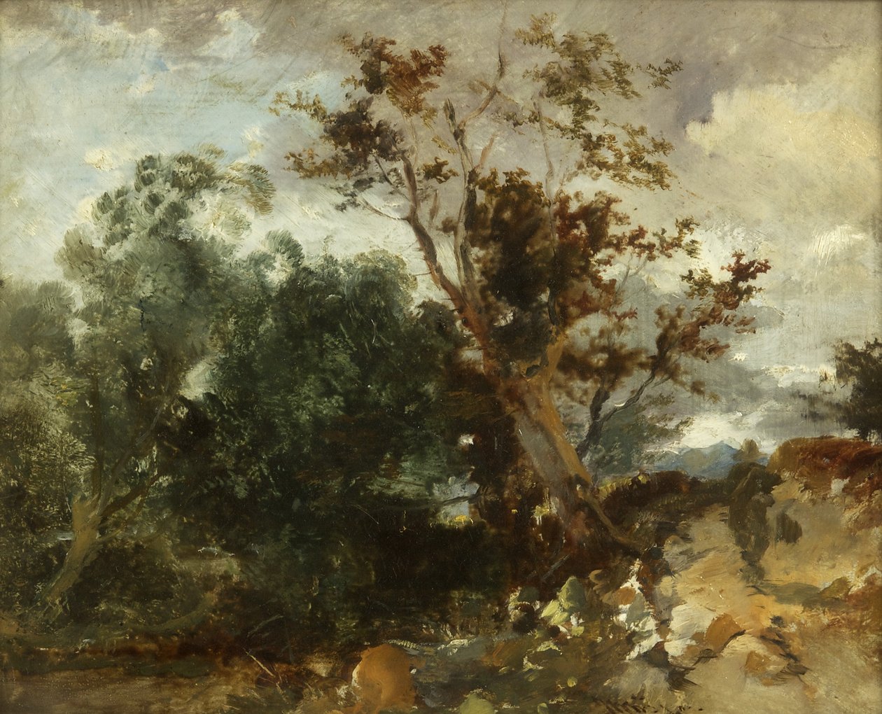 Studie von Bäumen, ca. 1840 von William James Muller