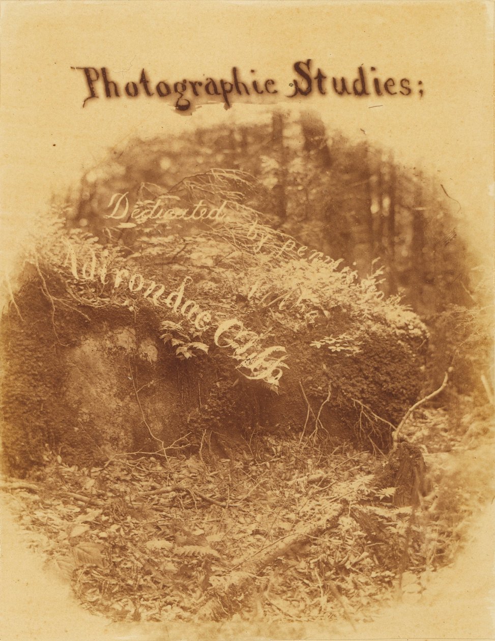 Ohne Titel, aus dem Portfolio Der Wald: Adirondack-Wälder von William James Stillman
