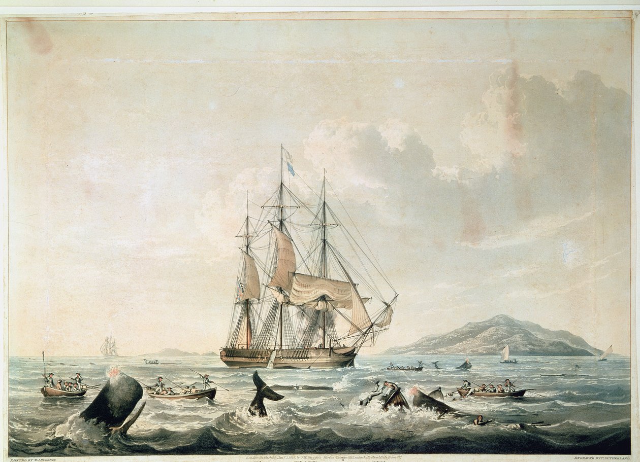 Südsee-Walfischerei, graviert von T. Sutherland von William John (after) Huggins