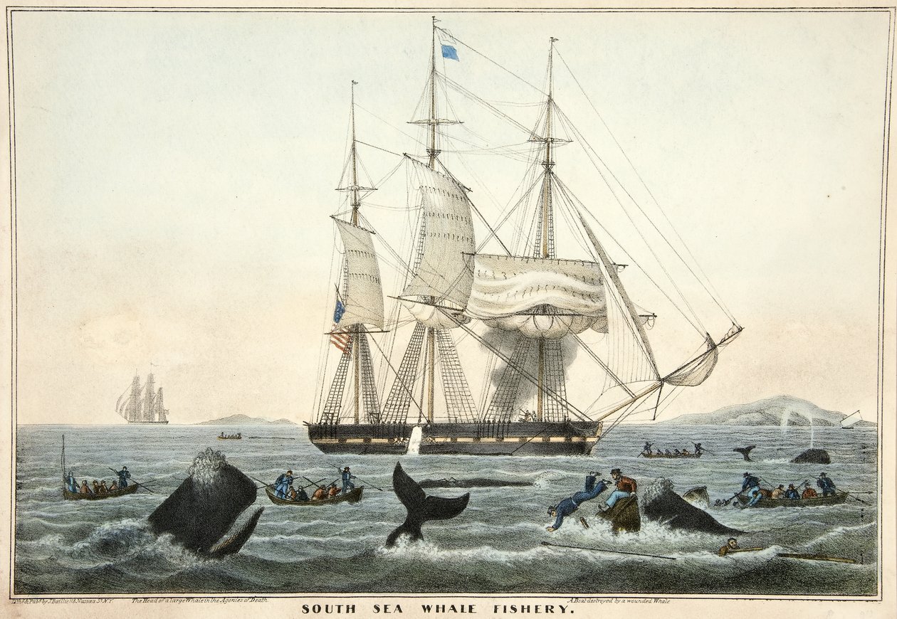 Südsee-Walfang, veröffentlicht 1825 von William John Huggins
