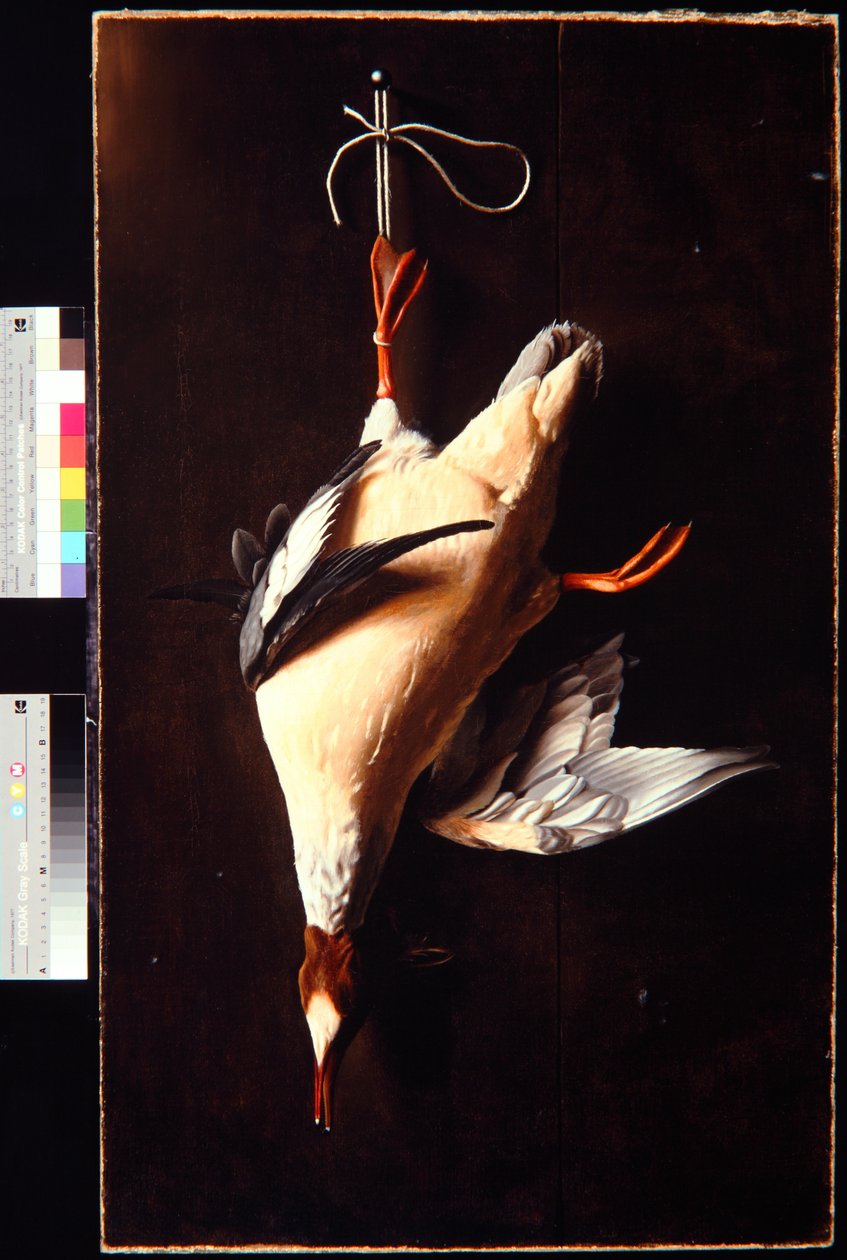 Gänsesäger von William Michael Harnett