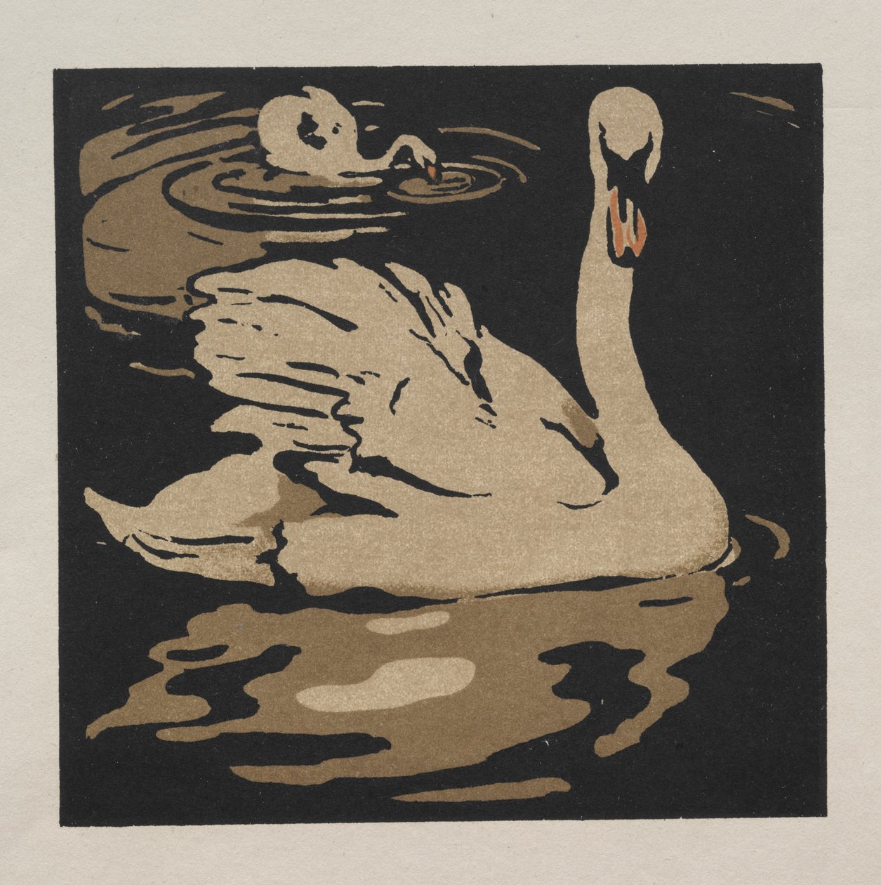 Das quadratische Buch der Tiere: Der schöne Schwan von William Nicholson