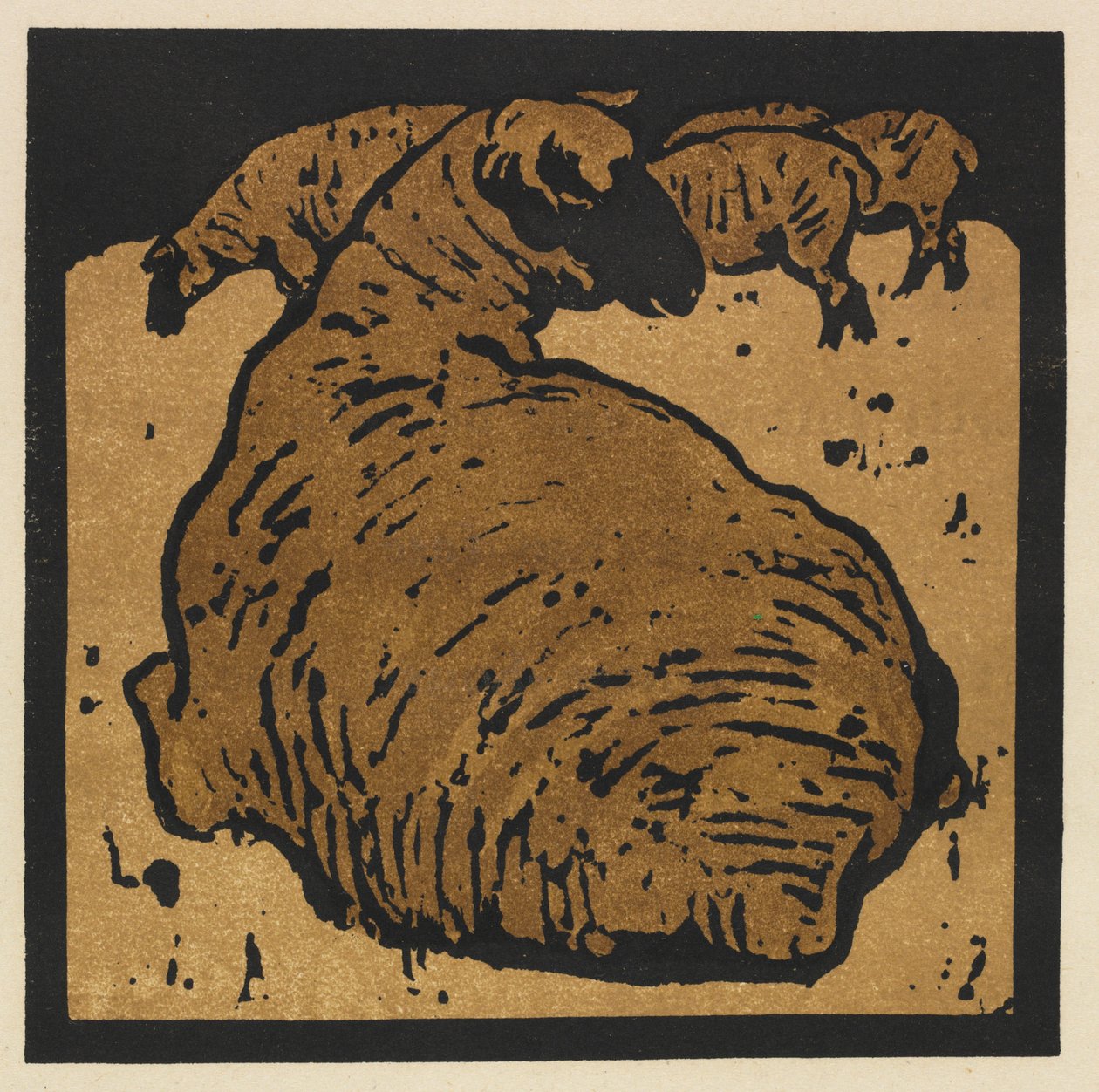 Das quadratische Buch der Tiere: Das einfache Schaf von William Nicholson