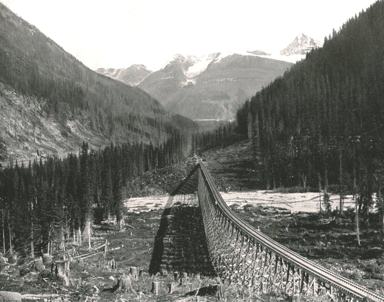Die Rockies: Schleife mit vier Gleisen, 1895 von William Notman and Son
