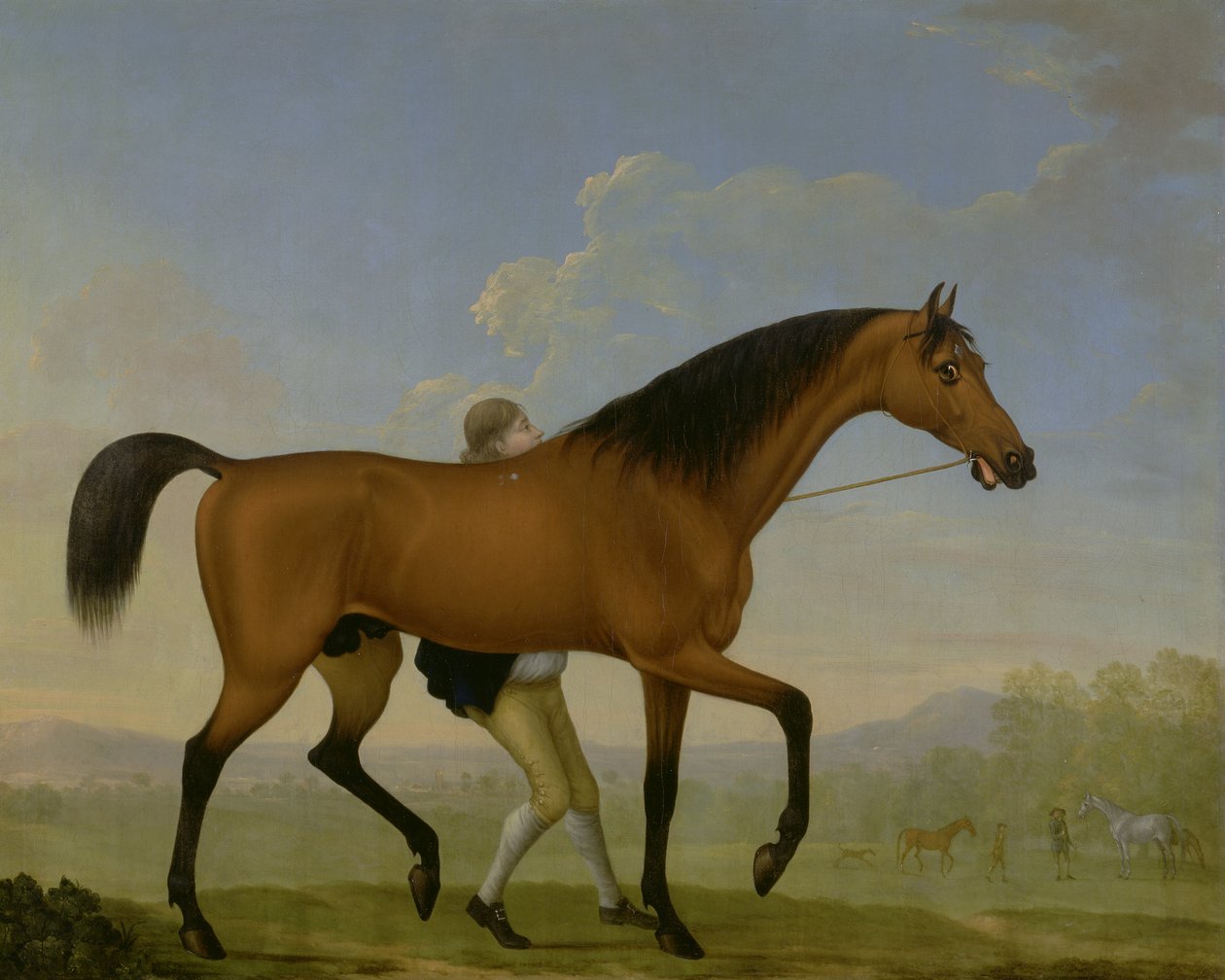 Der Bay-Hengst des Herzogs von Ancaster, Blank, geht auf eine Stute zu von William Shaw