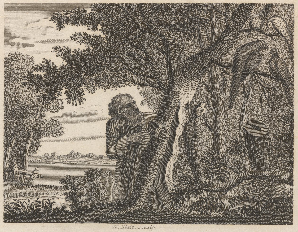 Der Philosoph und die Fasane von William Skelton
