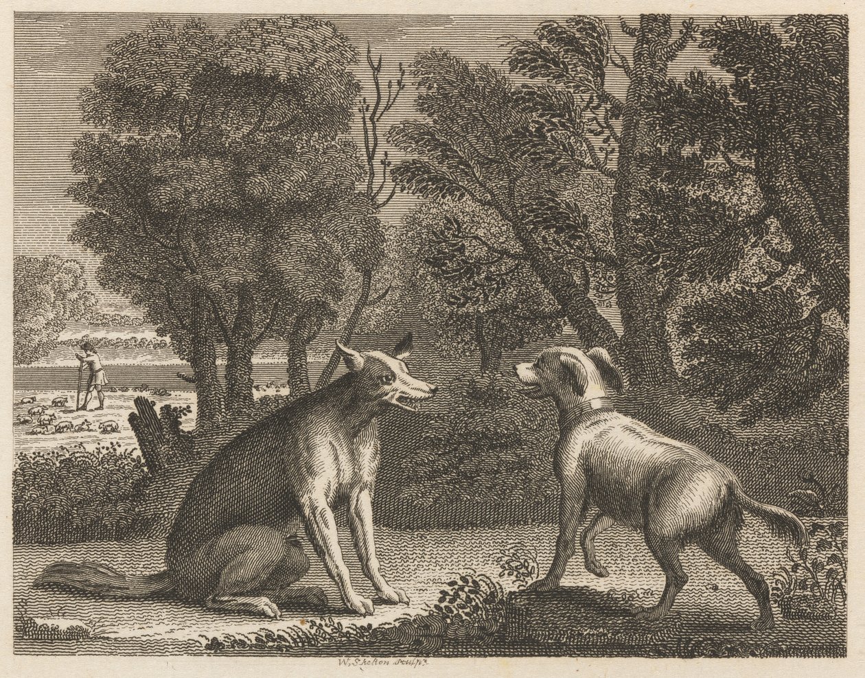 Der Hirtenhund und der Wolf von William Skelton