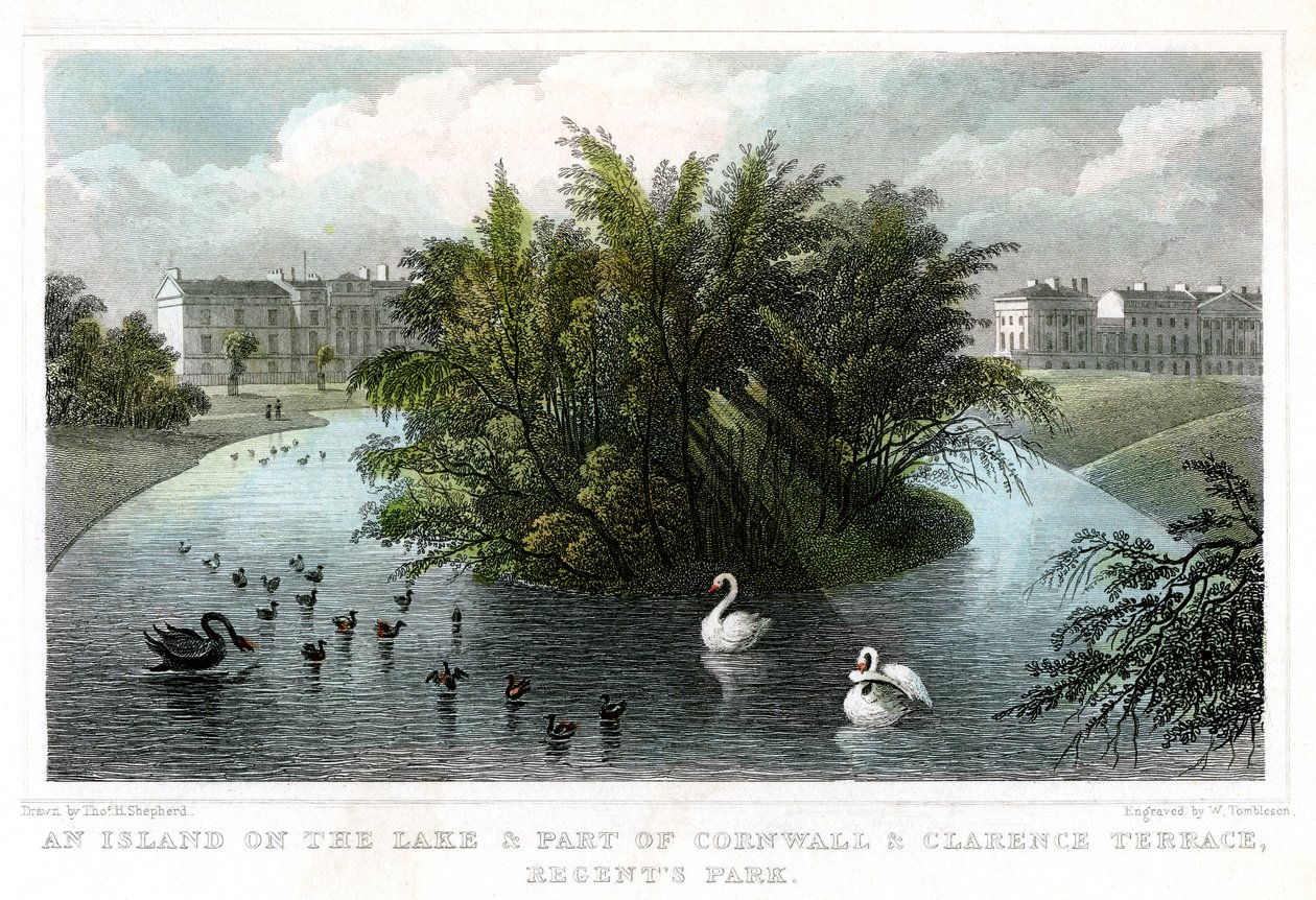 Insel auf dem See und Teil der Cornwall- und Clarence-Terrassen, Regents Park, London, 1828 von William Tombleson