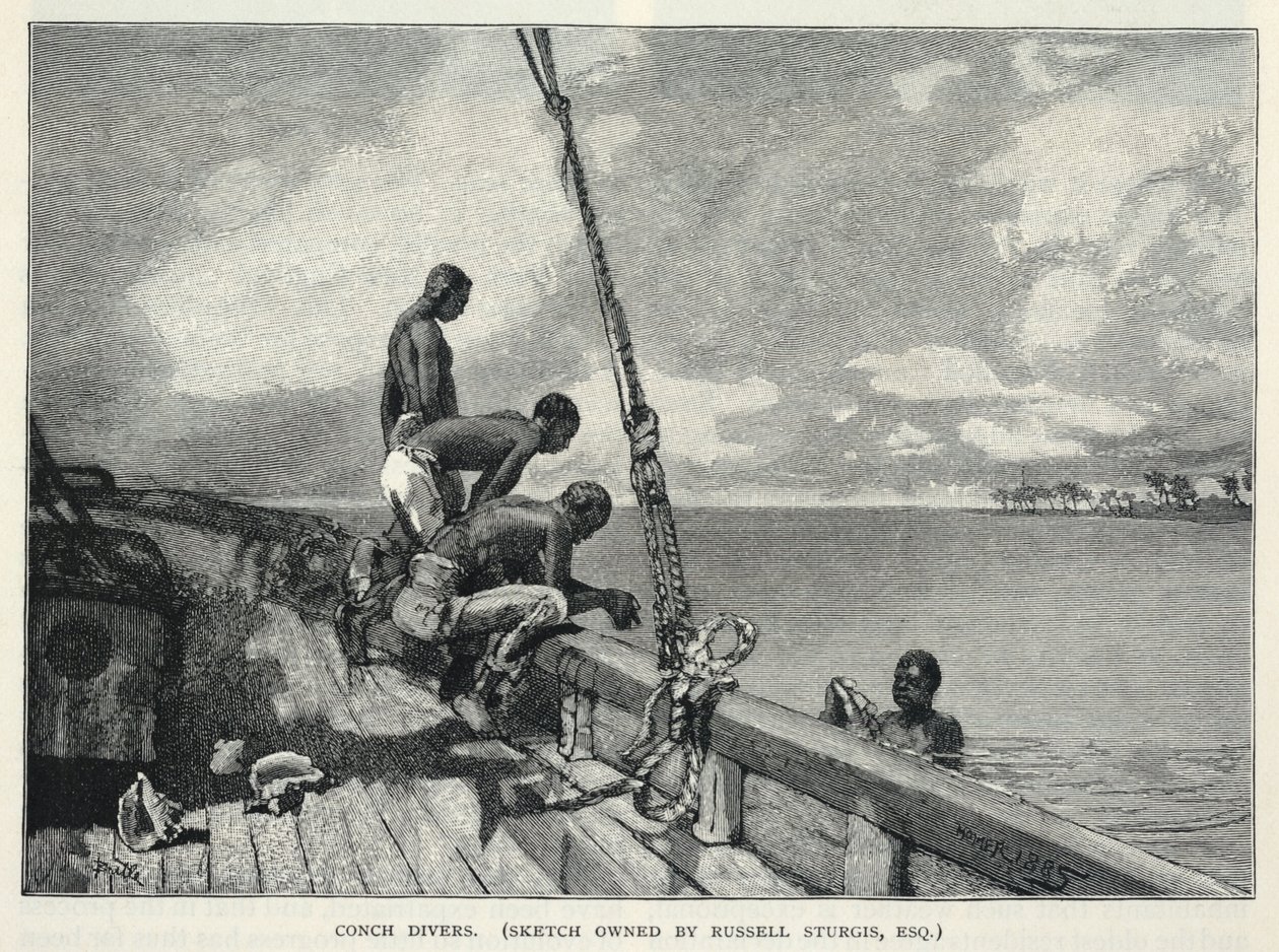 Ein Hurrikan, Hanfanbau, auf Abaco Island, eine Blumenverkäuferin, Conch-Taucher, aus The Century Magazine, Februar 1887 von Winslow Homer