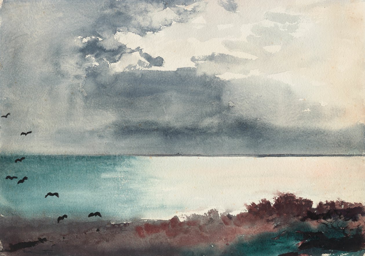 Sturm bricht los, Küste von Maine von Winslow Homer
