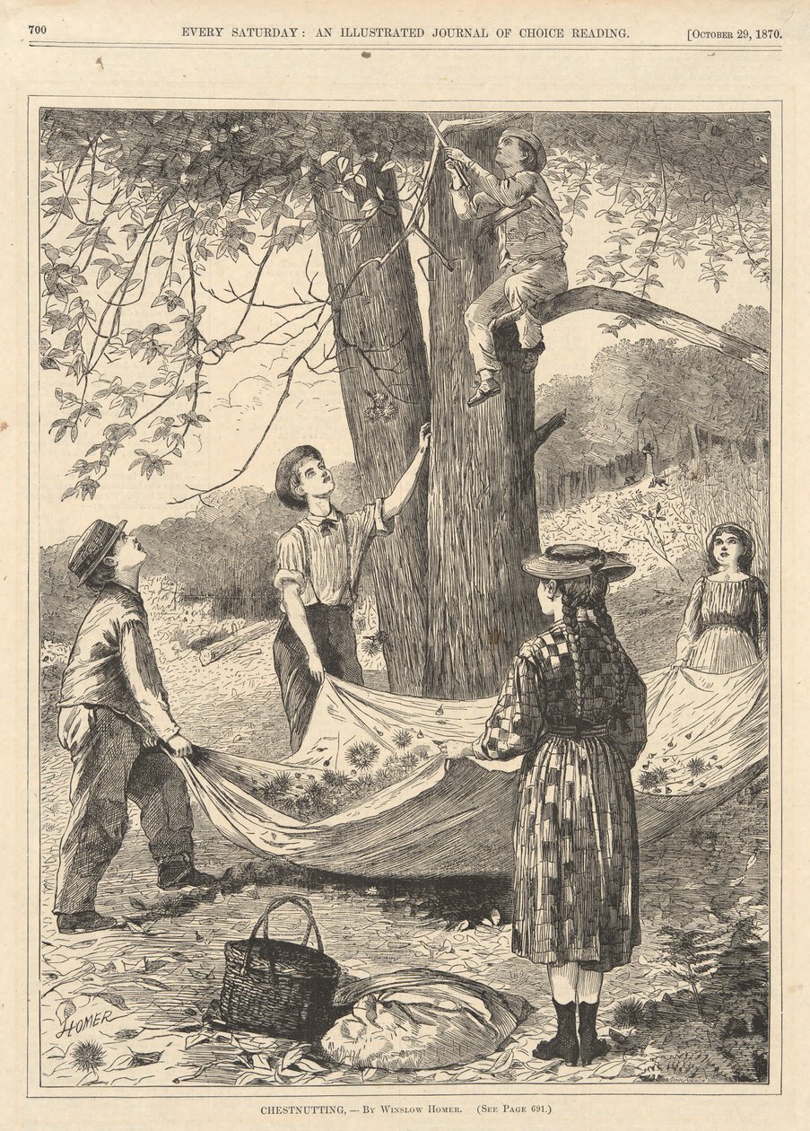 Kastaniensammeln, aus Every Saturday, 29. Oktober 1870 von Winslow Homer
