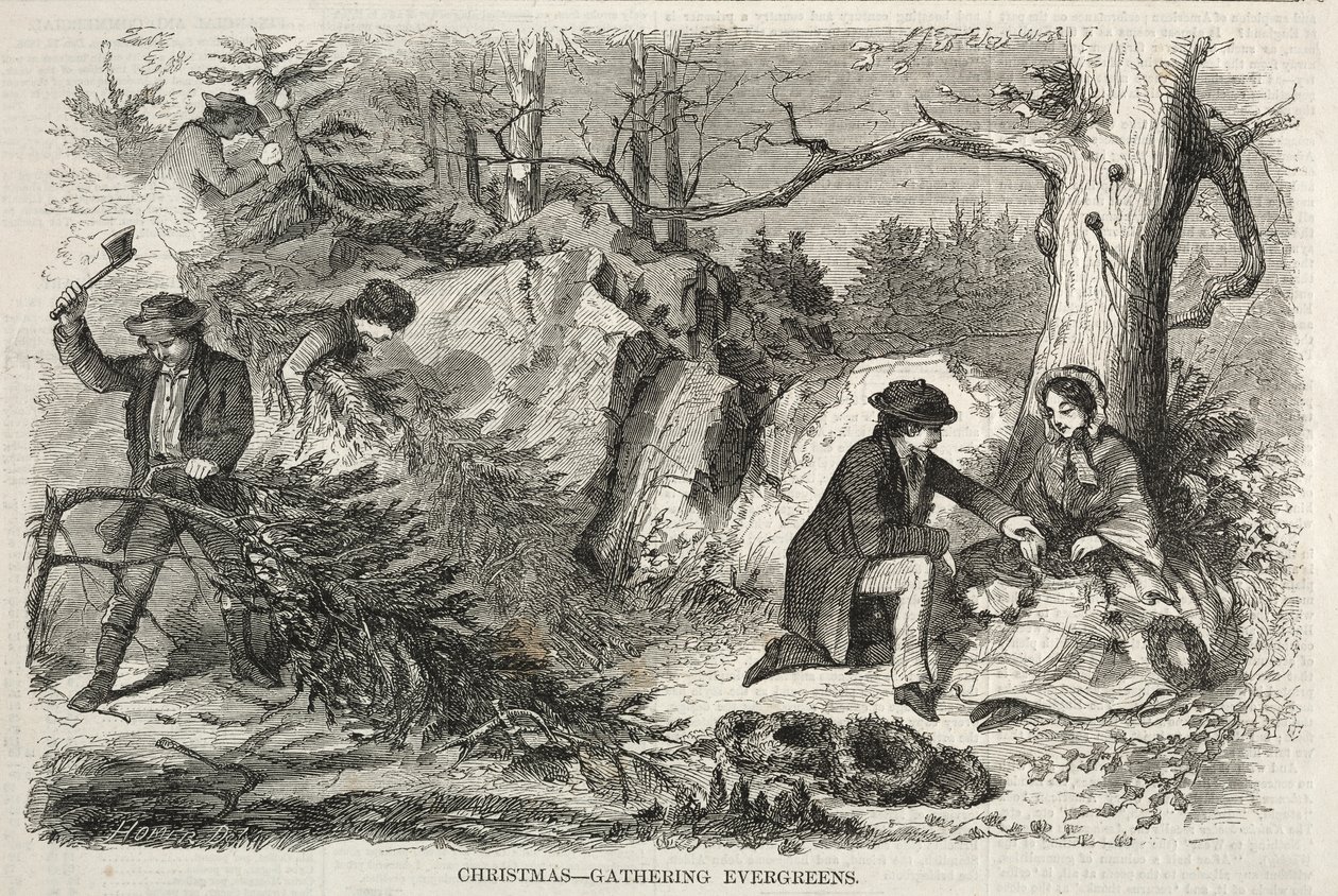 Weihnachten – Immergrün sammeln von Winslow Homer