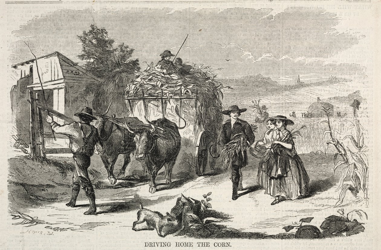 Heimfahrt des Korns, 1858 von Winslow Homer