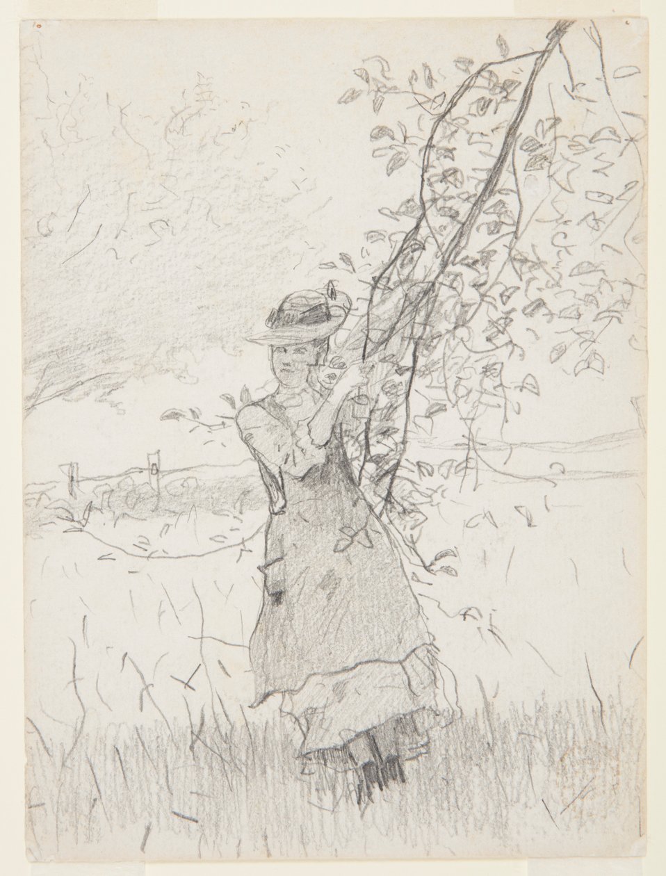 Mädchen mit einem Ast eines Apfelbaums von Winslow Homer