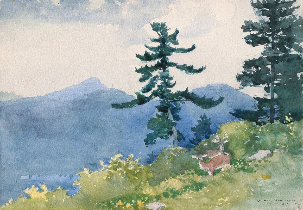 North Woods Club, Adirondacks (Das unterbrochene Tête-à-Tête) von Winslow Homer