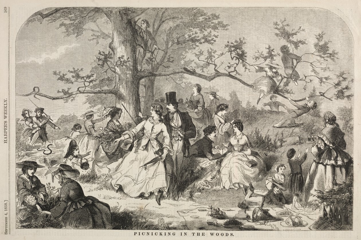Picknick im Wald von Winslow Homer
