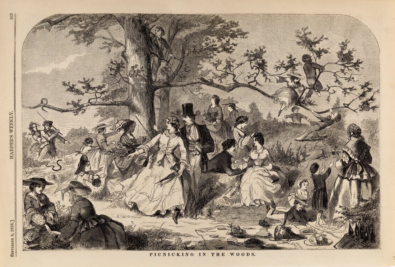 Picknick im Wald, aus Harper