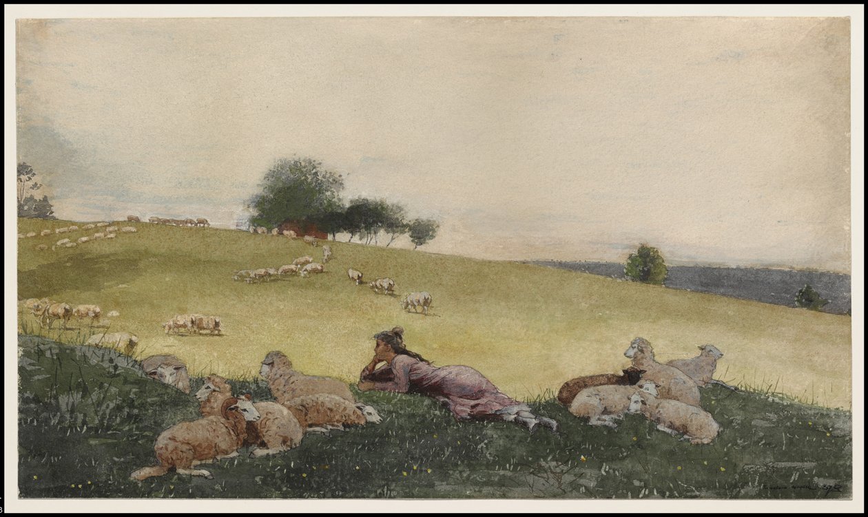 Hirtin von Houghton Farm, 1878 von Winslow Homer