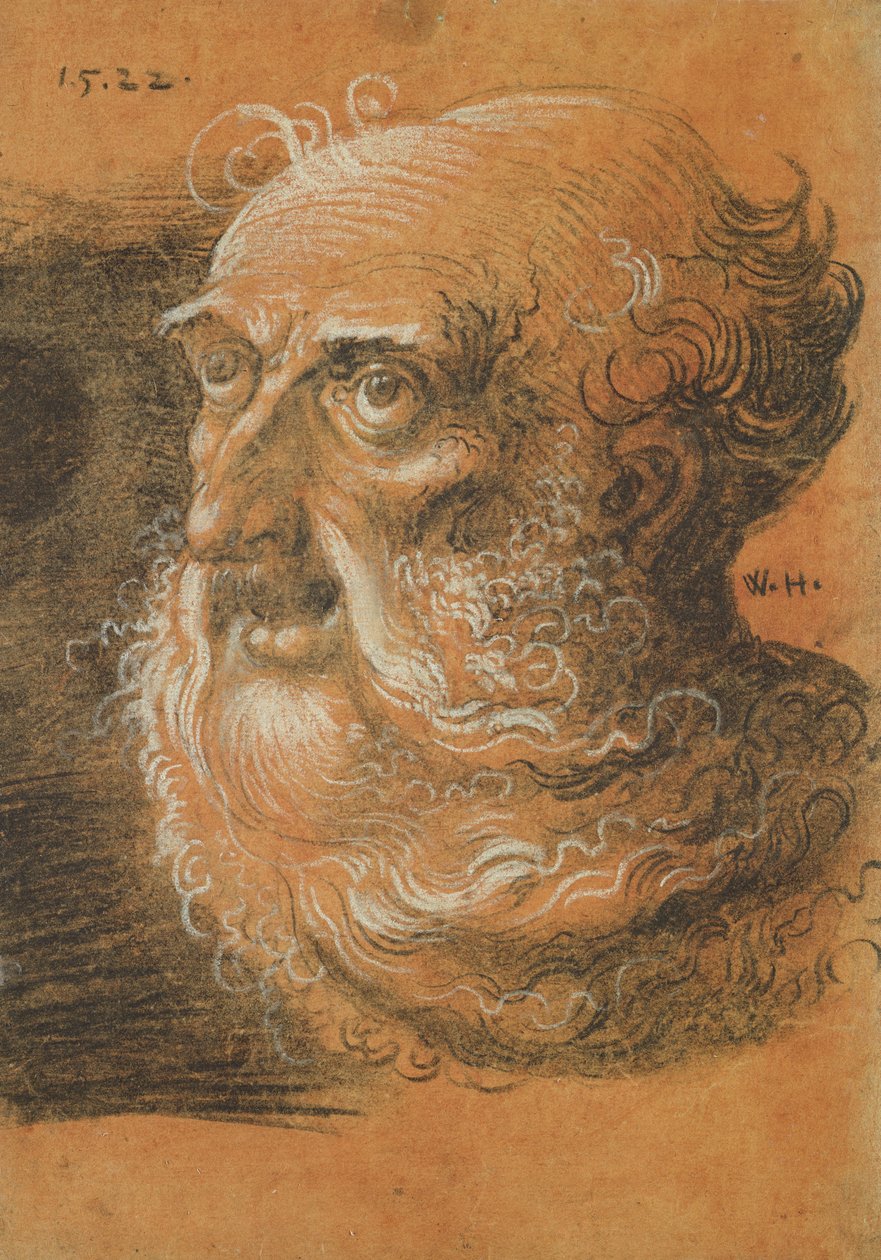 Kopfstudie, 1522 von Wolf Huber
