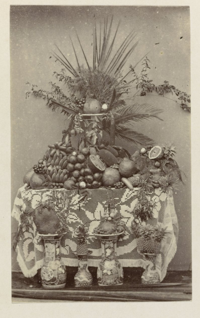 Stillleben mit tropischen Früchten von Woodbury and Page