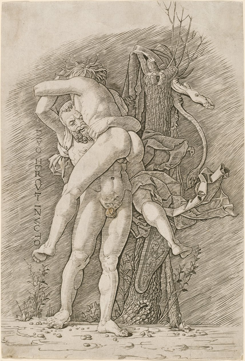 Herkules und Antäus von Workshop of Andrea Mantegna