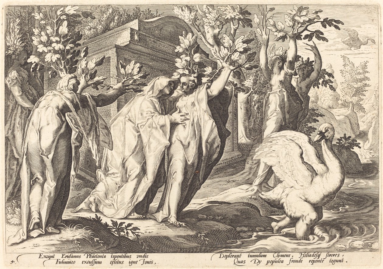 Phaetons Schwestern verwandeln sich in Pappeln, Cygnus in einen Schwan von Workshop of Hendrick Goltzius, after Hendrick Goltzius