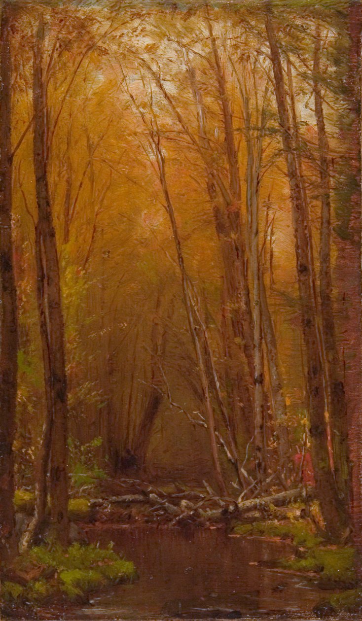 Die Birken der Catskills von Worthington Whittredge