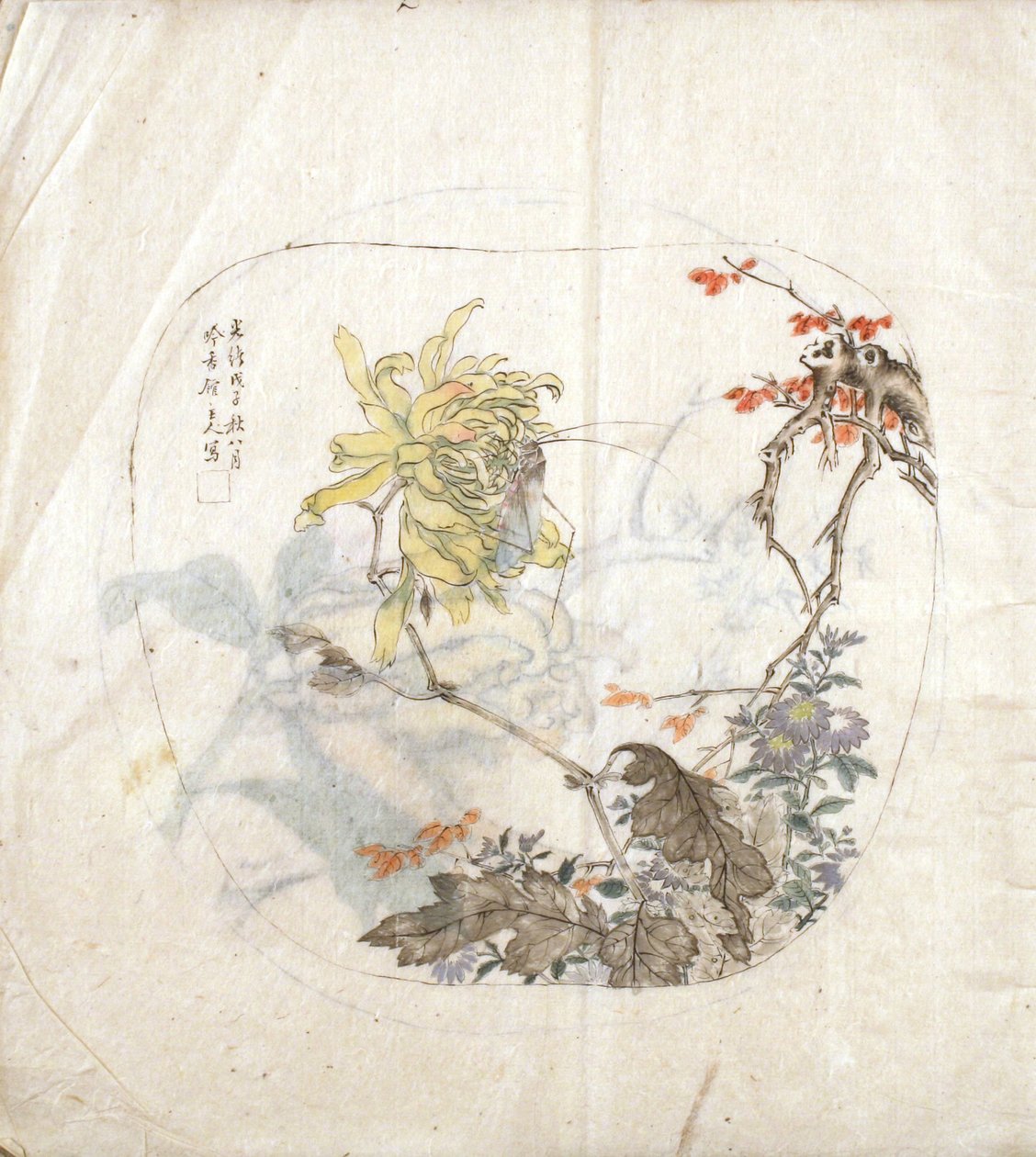 Eine Skizze von Chrysanthemen von Yang Shichao