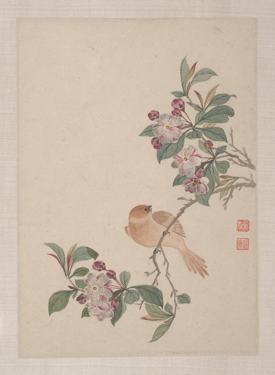 Vögel, Insekten und Blumen von Zhai Yi