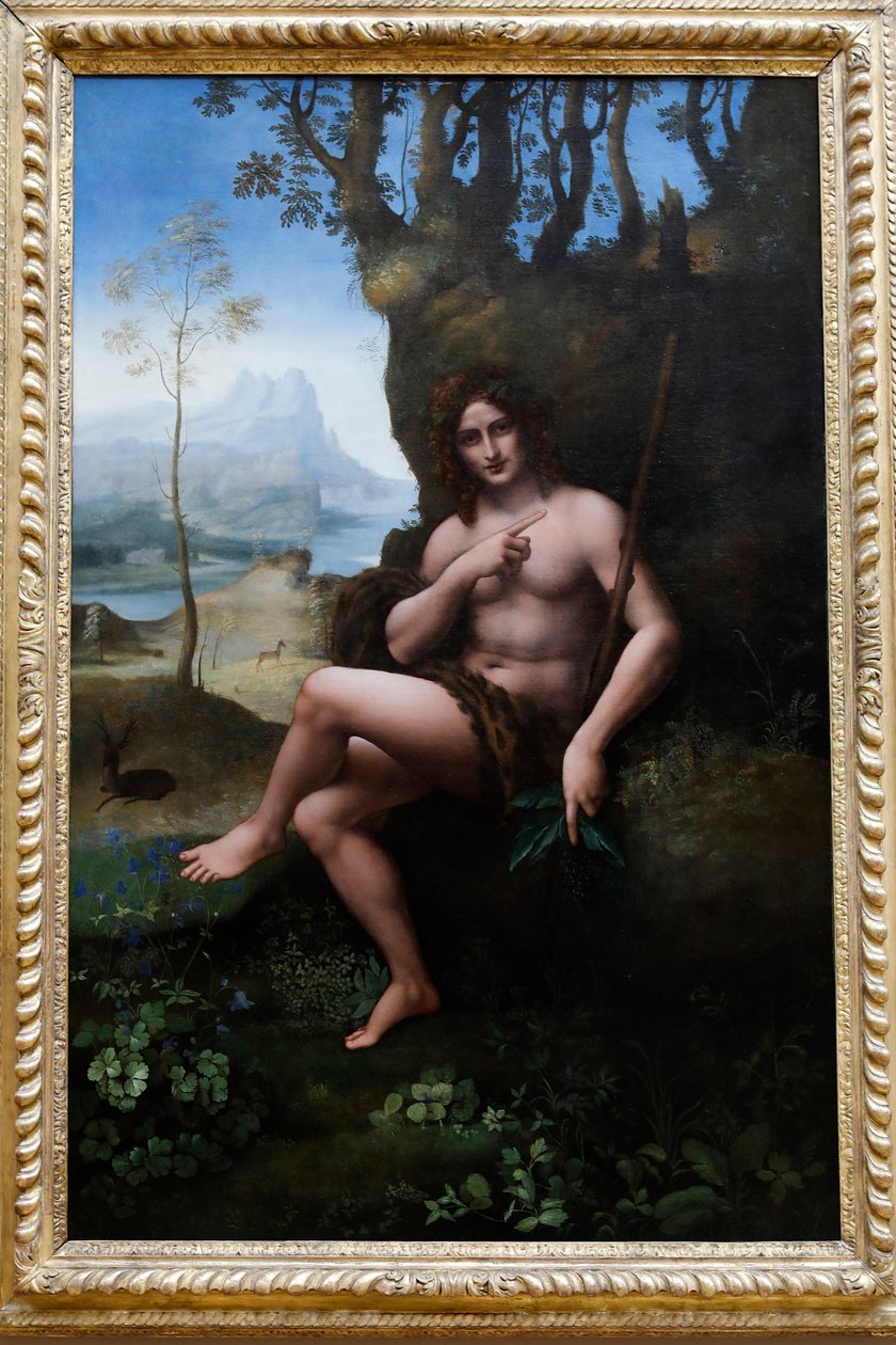 Louvre Museum, Paris, Frankreich. Werkstatt von Leonardo da Vinci, zugeschrieben Francesco Melzi, Johannes der Täufer, um 1510-1520. von . .