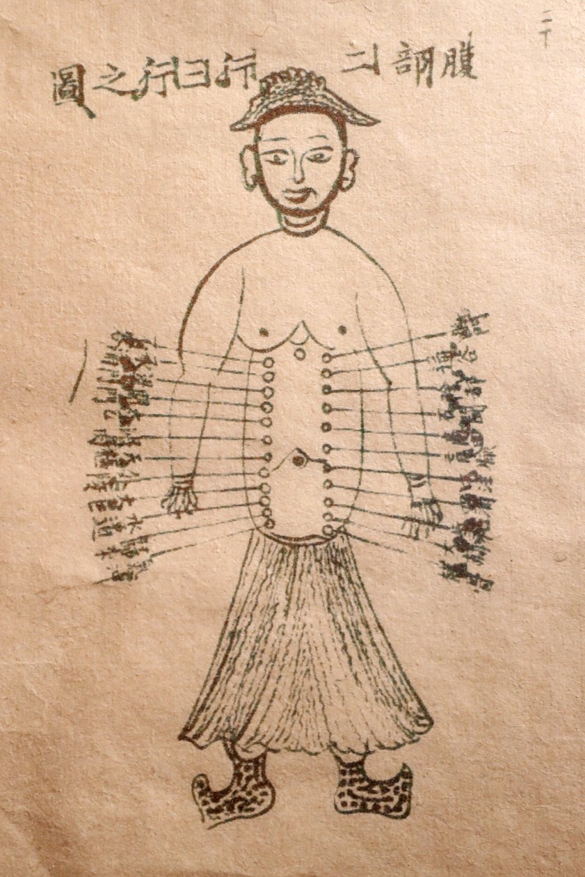 Museum für traditionelle vietnamesische Medizin, Die Kanäle und Gefäße, Buch der Akupunktur, Ho-Chi-Minh-Stadt, Vietnam von John Pardon